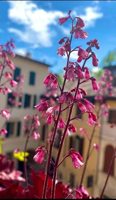 Residenza Della Corticella Apartment Verona